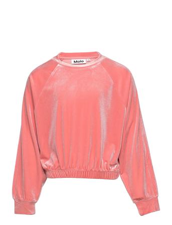 Malinda Pink Molo