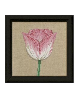 Stickpackung Bilder Fasen der Tulpen 3-er Pack - Permin