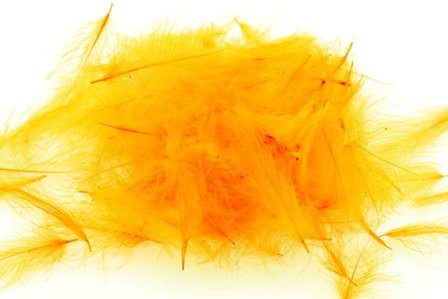 Swiss CDC Standard - Gold Yellow