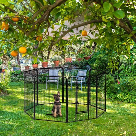 Hvalpe størrelse M-XXL