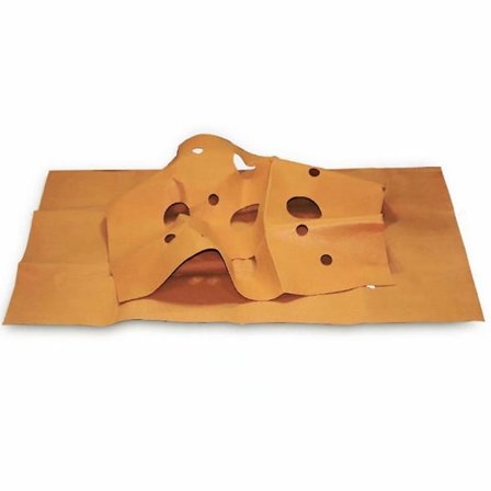 Kjæledyr katt og hund agility trening leke bite matte