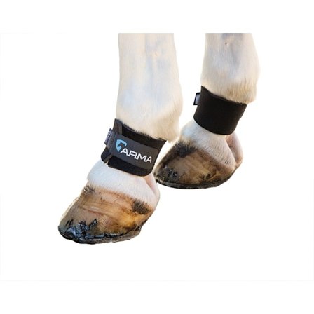 ARMA Horse Pastern Wraps (2-pack) One Size Svart