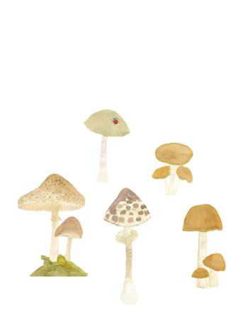 Forest Mushrooms 5-Pack Home Kids Decor Wall Stickers Animals Multi/mønstret That's Mine