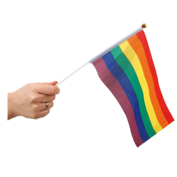 Rainbow Hand Flag 6P (12)