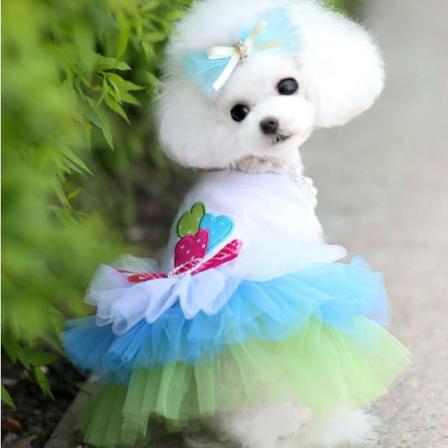Husdjurskläder Kjol Kattväst Randigt Hängande mesh Vår och sommar Teddy/Pomeranian Lips skirt Blue S