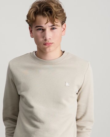 Calvin Klein MONOGRAM MINI BADGE CREWNECK Grijs Truien Jongens - Kids Brand Store