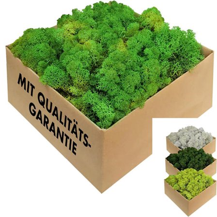 Konservert reindyrsmose for kunst DIY, frisk grønn tørket mose perfekt for veggdekorasjon, kunstnerisk kreativitet for hjemmekontor (varierte 