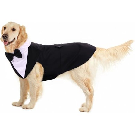 Hundjulklänning Halloween Hundkläder Hundkläder för Små Hundar Födelsedag Bandana Hund Maskeraddräkt Kostymer Formell Hund/Katt Smoking (Svart, XXL)