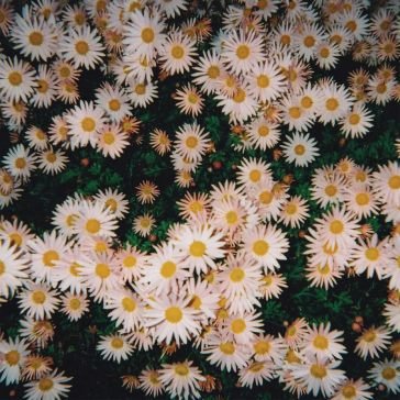 Bad bad hats BAD BAD HATS