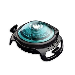 Orbiloc Dog Dual lygte, Turkis
