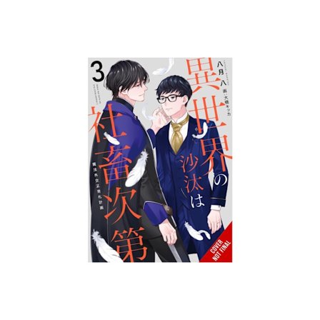 The Other World's Books Depend on the Bean Counter, Vol. 3 (light novel) (häftad, eng)