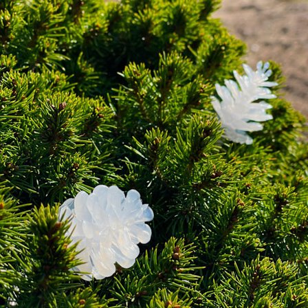 Pine 10m ljusslinga vita ljusskimrande kottar