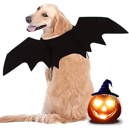 Hunde-Flaggermusvinger, Hund Halloween-kostyme, Stort Hundekostyme, Hund Flaggermus Cos