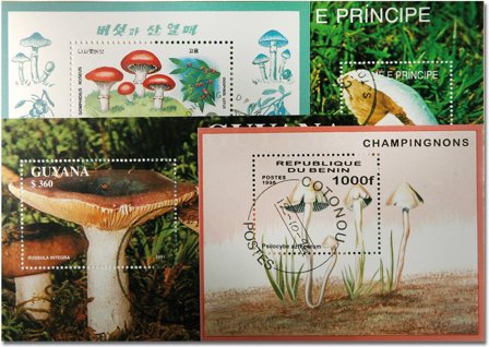 Svampe 4 forskellige miniark