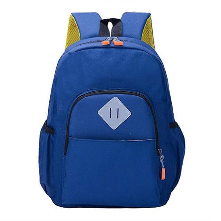 Studentryggsekk, Skoleryggsekk for studenter