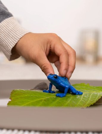 Schleich Schleich Blue Poison Dart Frog - Multi/patterned - ONE SIZE