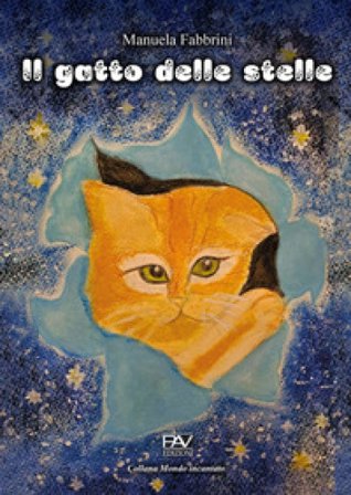 Il gatto delle stelle. Ediz. a colori Manuela Fabbrini