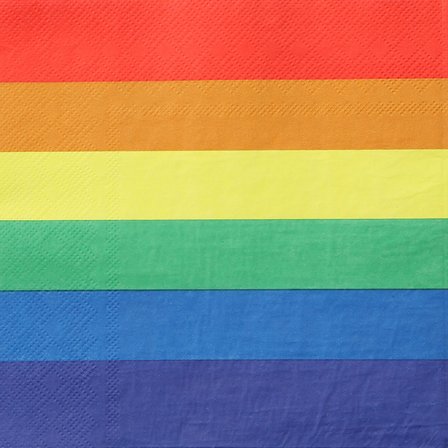 Pride-lautasliina 16 kpl - Vuxen