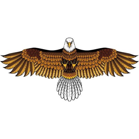 Fargerik levende ørn drage for barn og voksne