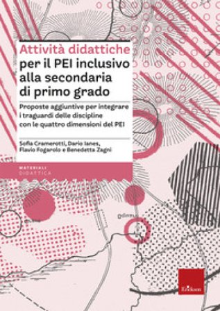 Attività didattiche per il PEI inclusivo alla scuola secondaria di primo grado. Proposte aggiuntive per integrare i campi di esperienza con le quattro