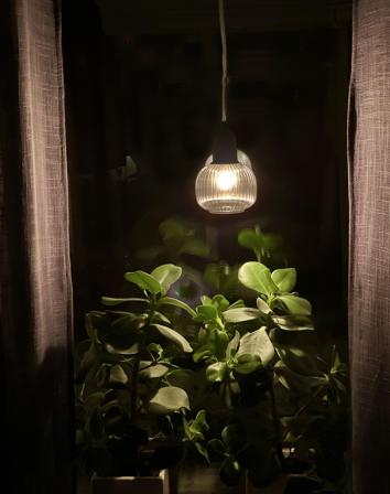 Aneta Lighting ELIN vinduspendel, svart/sotet, G9, 4 m ledning, støpsel for vegguttak