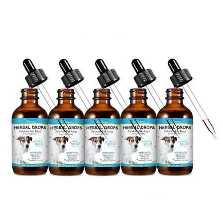 Pet Wellbeing Throat Gold For Dogs - Naturlig urtehoste-, hals- og respirasjonsstøtte for hunder