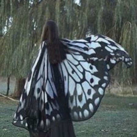 Butterfly Wings Cape Fairy Wings-mantel J J