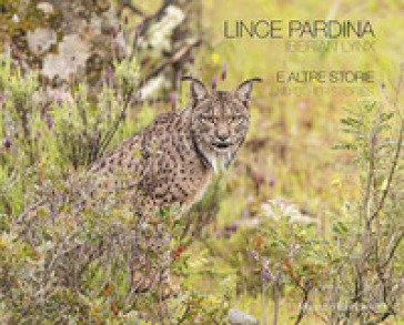 Lince pardina. E altre storie. Ediz. italiana e inglese Maurizio Biancarelli