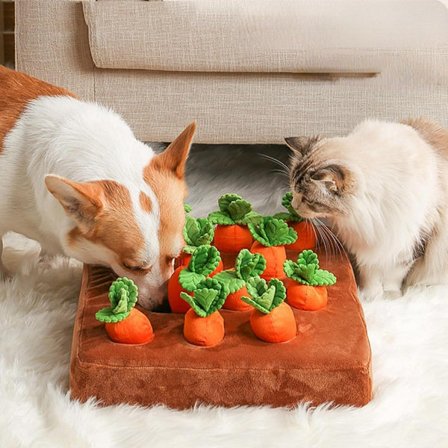 Plysjlekesett for katt og hund, 12 deler med lyd og trekk-til-basen-design, klebrig kattemyntefyll på bunnen, myk krystallfløyel, gnagerformer