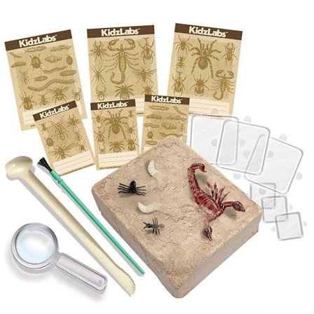 Science Discovery Kit - Upptäck insekter
