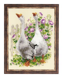 Bild Gänse - Riolis