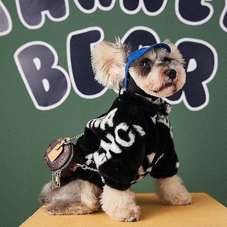 Lemmikin Koiran Itsenäisen Palvelun Reppu Koverat Tarvikkeet