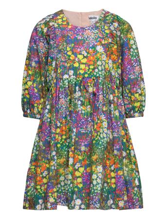 Caio Dresses & Skirts Dresses Casual Dresses Short-sleeved Casual Dresses Multi/mønstret Molo*Betinget Tilbud
