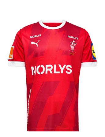 Dhf Home Jersey T-shirt Multi/mønstret PUMA