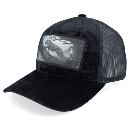 Calza Pennello - Black - trucker - Cap - Leopard Big Patch Velvet Black Trucker - Hatstore