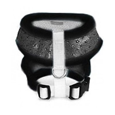 Puppy Angel - Stars on my mind Sele