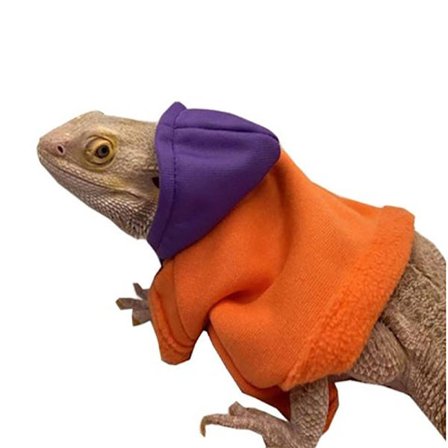 Bearded Dragon Costume Lizards Hættetrøje frakke LILLA ORANGE LILLA