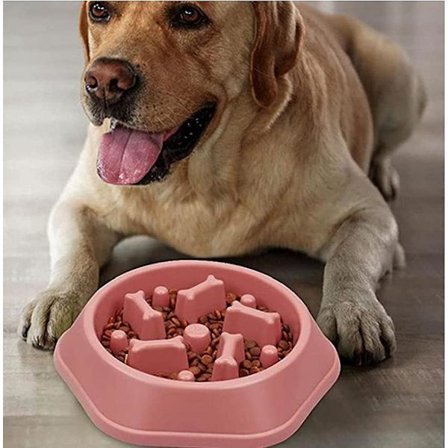 Slow Food Dog Bowl, Anti-Slip, Fun Interactive Pet Bowl, Minska kvävning Uppblåsthet Sluta äta för mycket små hundar och katter Slow Food matskål