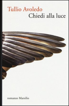 Chiedi alla luce Tullio Avoledo