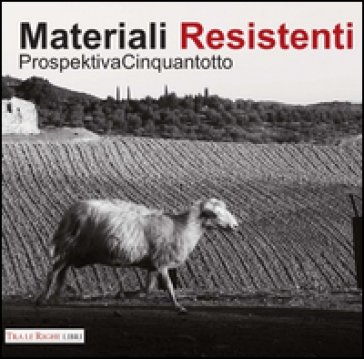 Prospektiva. Vol. 58: Materiali resistenti