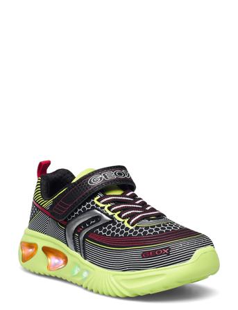 J Assister Boy A Green GEOX