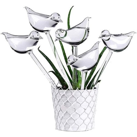 10 selvvandede glasfugle, transparente globeplanter