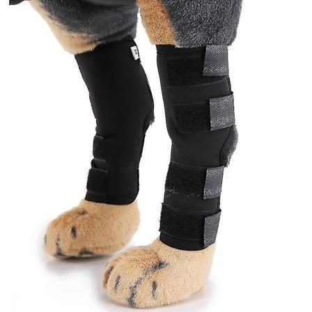 Skyddande låda för hundar med fraktursplint, ortopedisk återställning, ledbandage, skydd för fram- och bakben