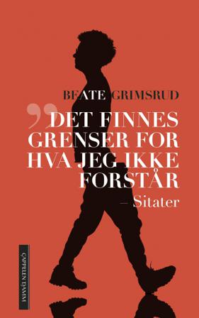 Det finnes grenser for hva jeg ikke forstår - Bok av Beate Grimsrud - Hardback