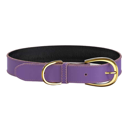 Swaggin Tails - Colorful Collar Purple - Hund - Halsbånd - ZOO.no