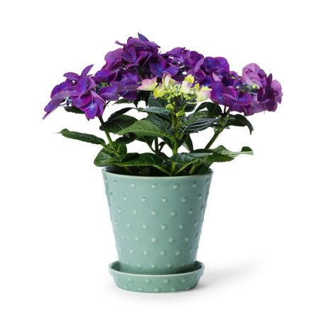 In Flore Astrid Blomkruka Och Fat Krukor & vaser Grön