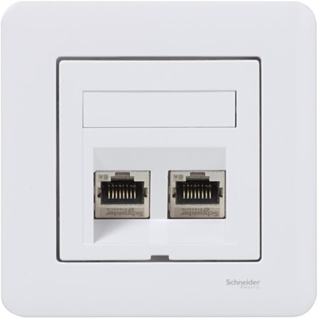 Schneider Electric WDE002438 Modulæruttak med heldekningsplate Hellende, Datamaskin & surfing