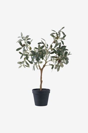 House Nordic - Oliivipuu - Vihreä - Tekokasvit - - Homeroom