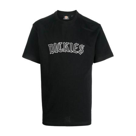 Dickies, Union Springs T-Shirt Zwart, Heren, Maat:M