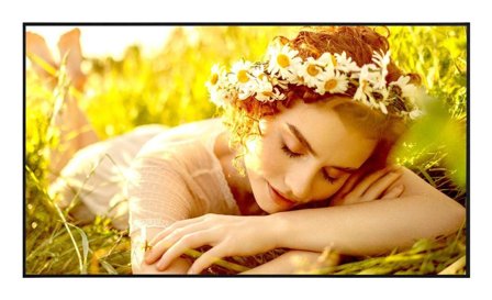 LG 65"" 65UL5Q-E 500nits 24/7